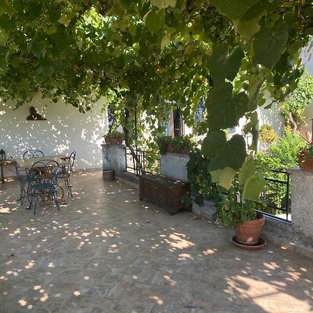 Alloggio Turistico La Stalla Tuscania Dış mekan fotoğraf